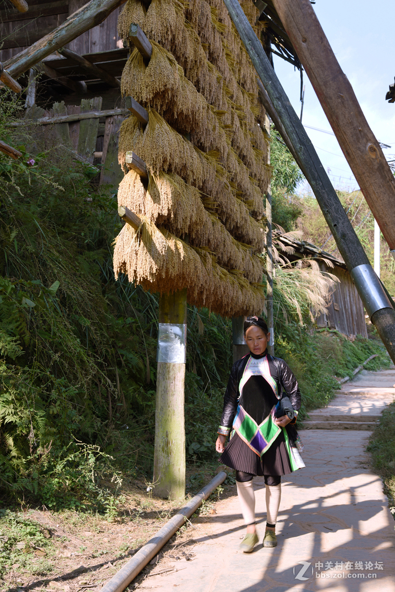 最后的枪手部落——岜沙苗寨（2）：极具民族特色的建筑
