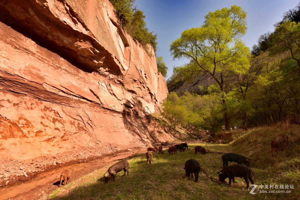 引人入胜的延安甘泉县蛇河大峡谷