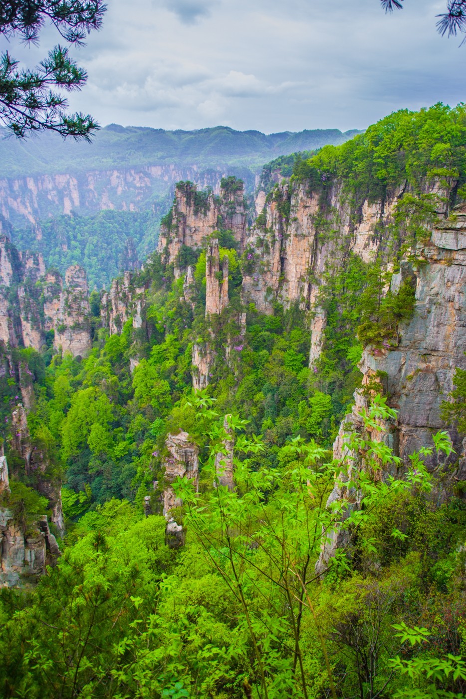 张家界武陵源石峰林