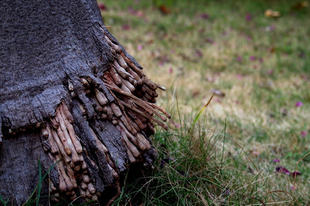 宾得A35-70 F4试镜