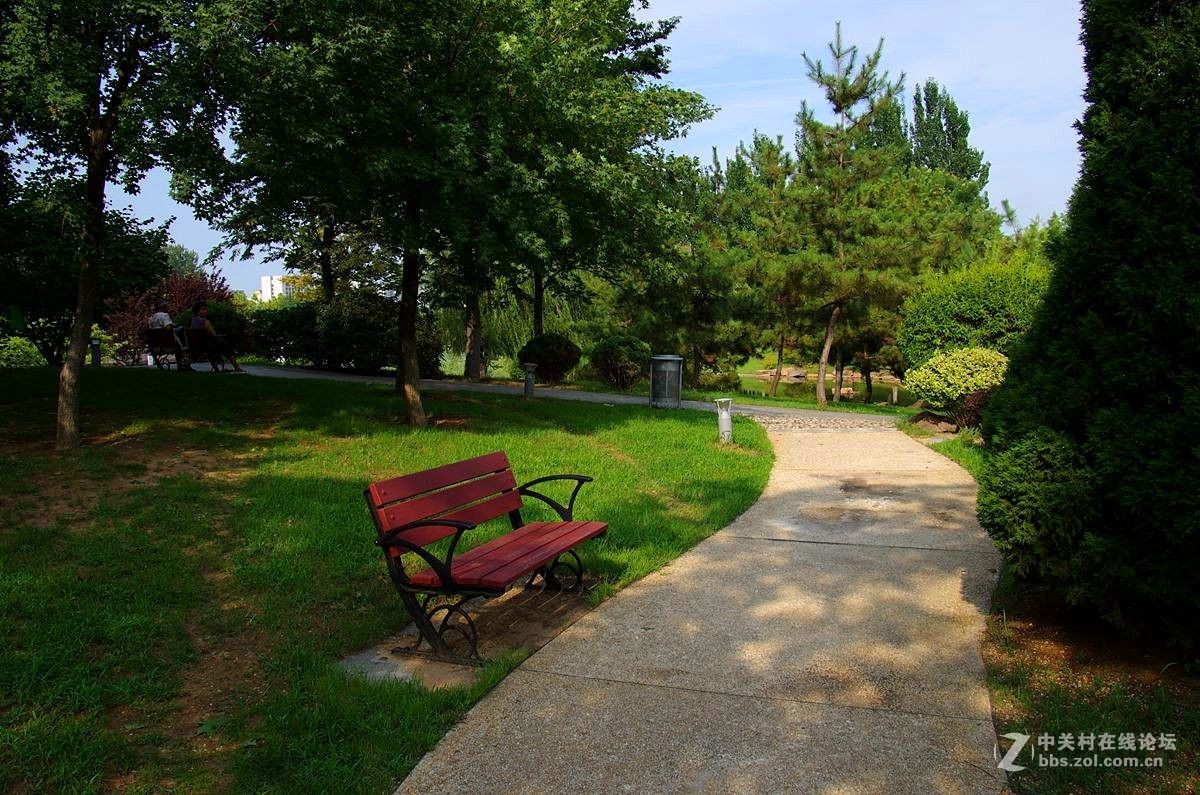 『曲与直』123...11P