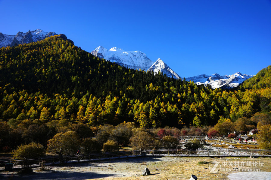 甘孜行之亚丁小景