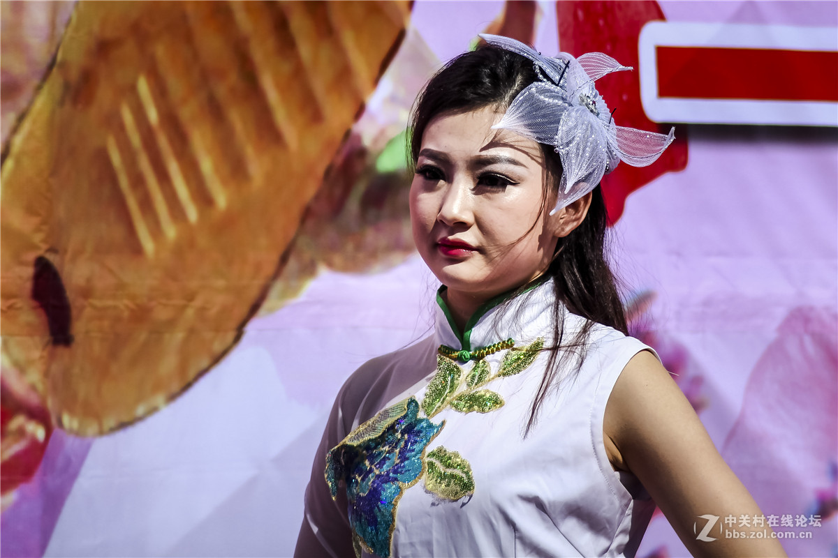 桃花节琵琶表演