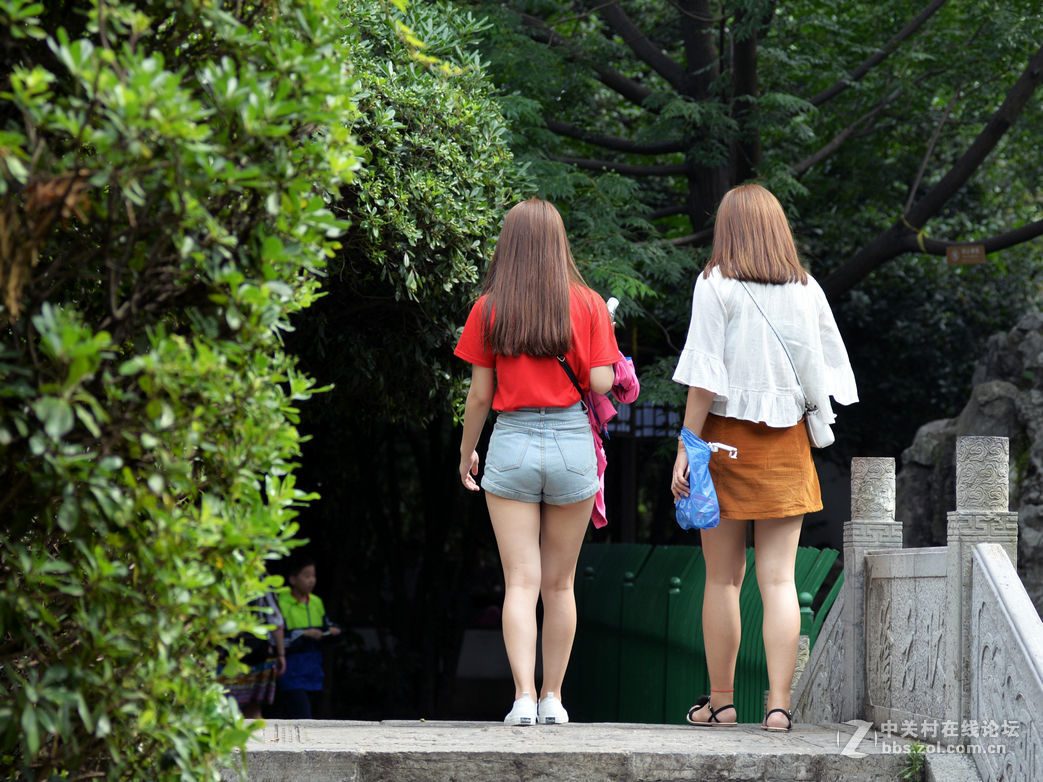 端午节南京公园即景
