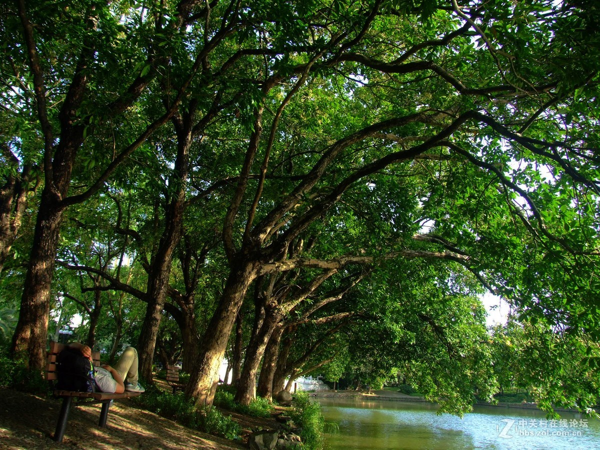 荔湖新拍-富士S9600老机