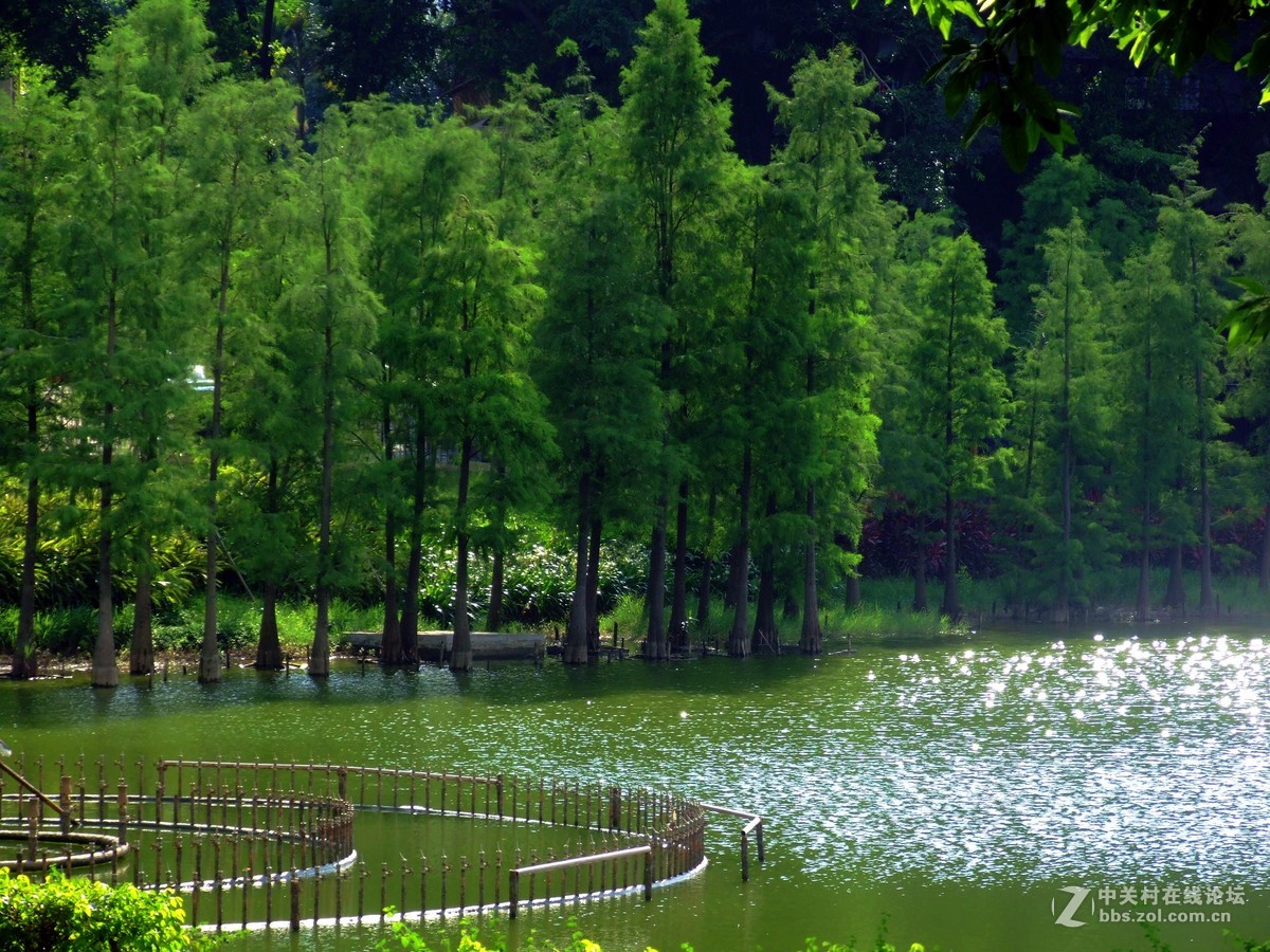 荔湖新拍-富士S9600老机