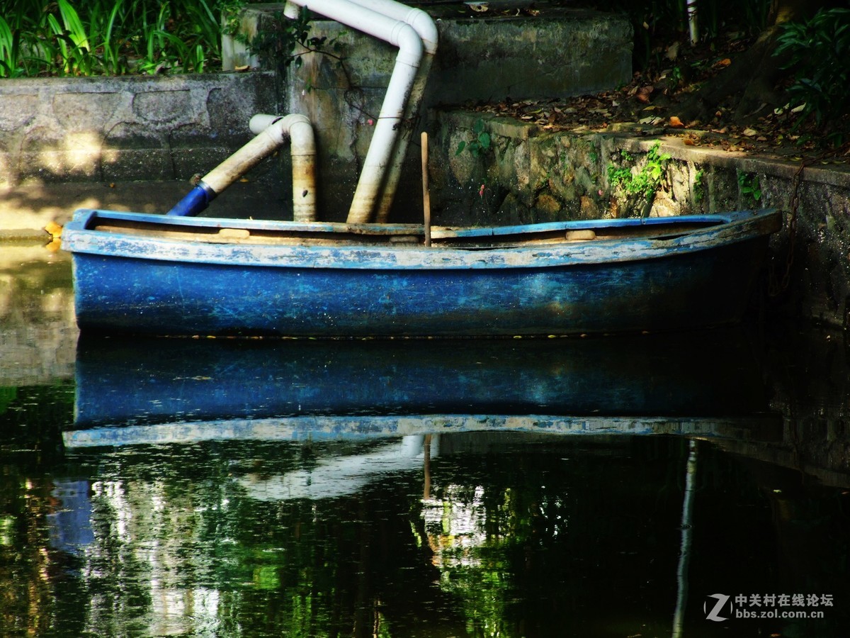 荔湖新拍-富士S9600老机