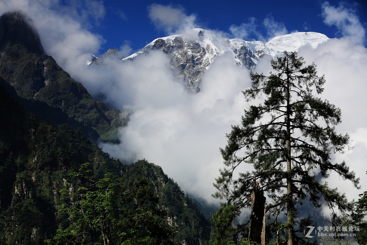 子梅垭口+燕子沟风光