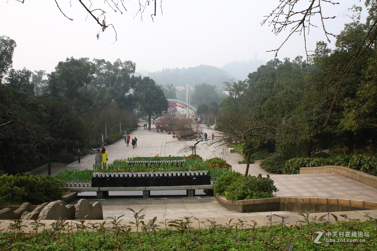 重慶南山植物園