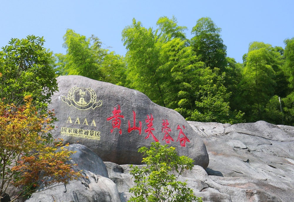 黄山芙蓉谷随拍