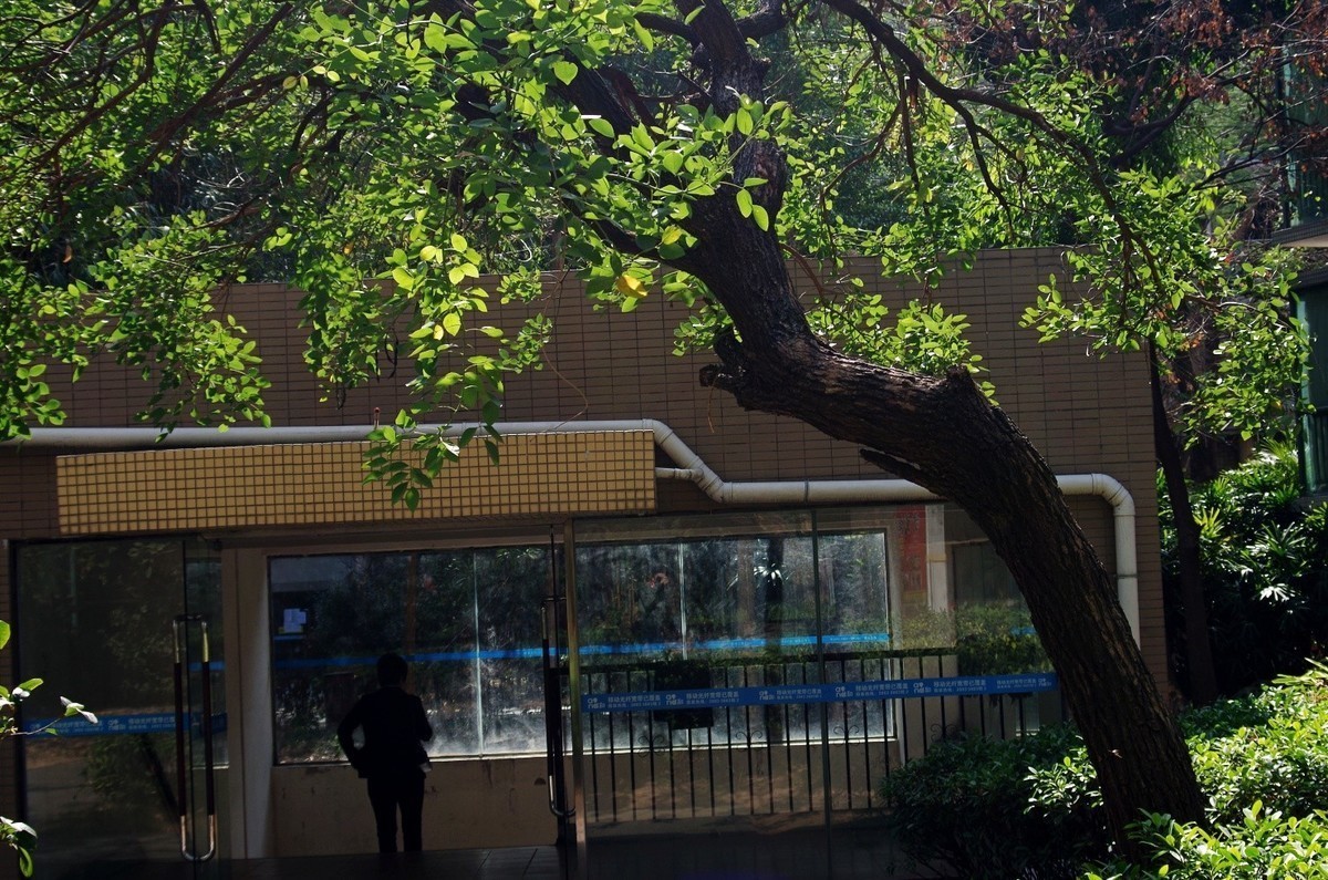 宾得A35-70 F4试镜