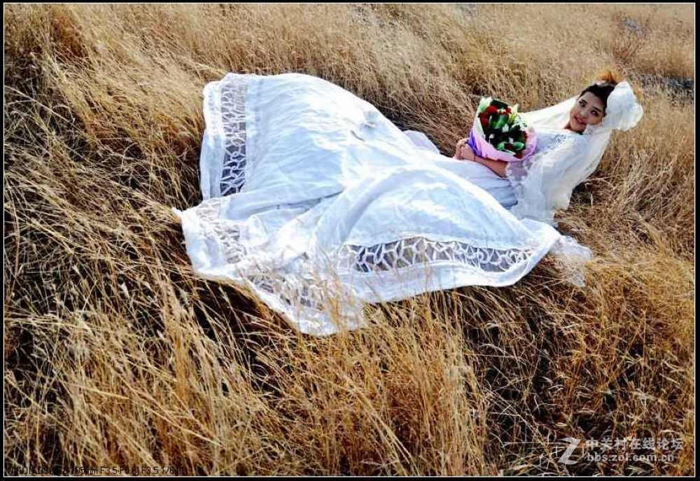 草原上的新娘