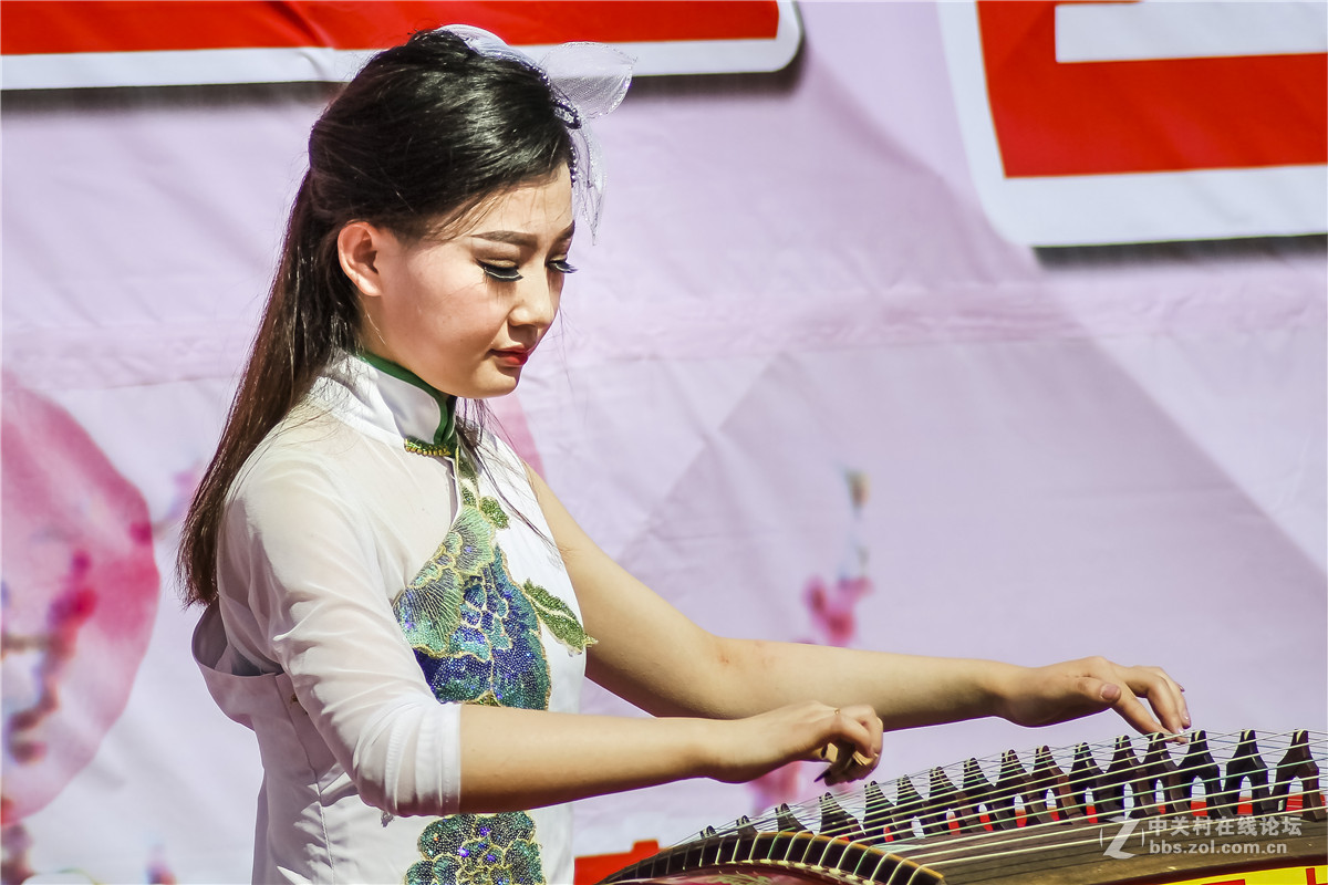 桃花节琵琶表演