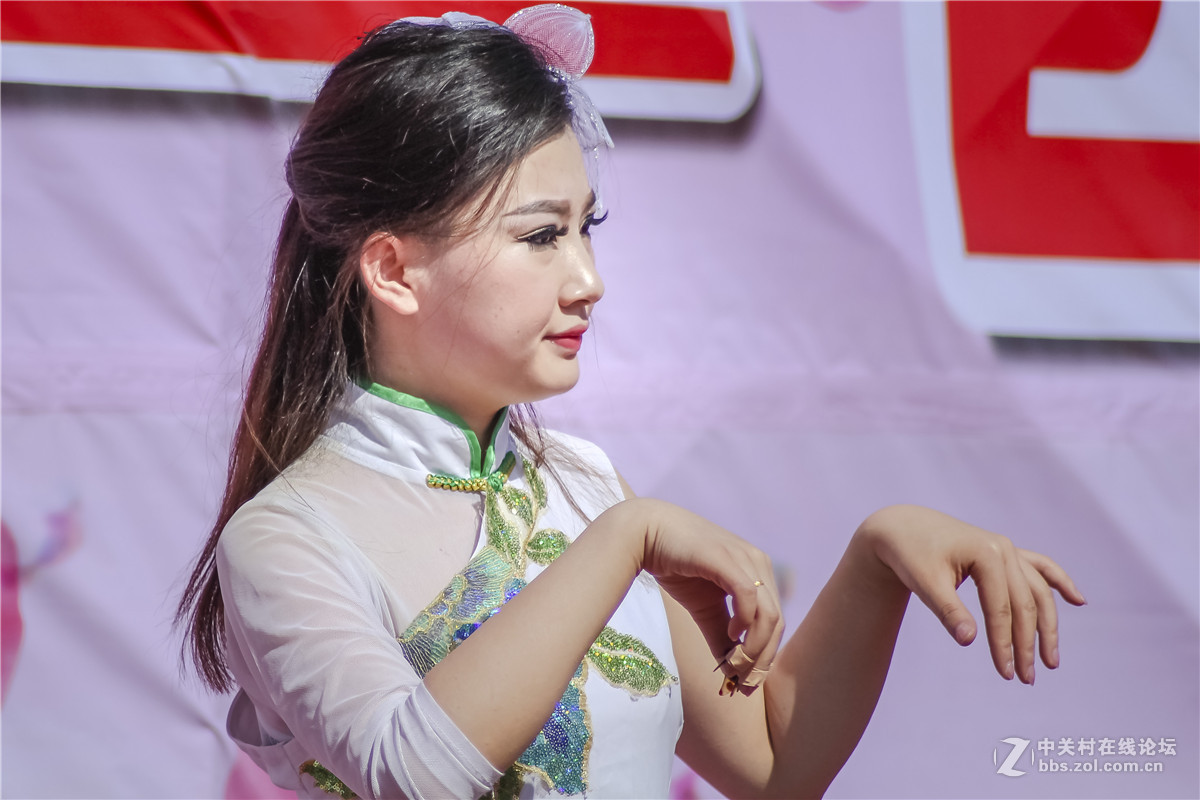 桃花节琵琶表演