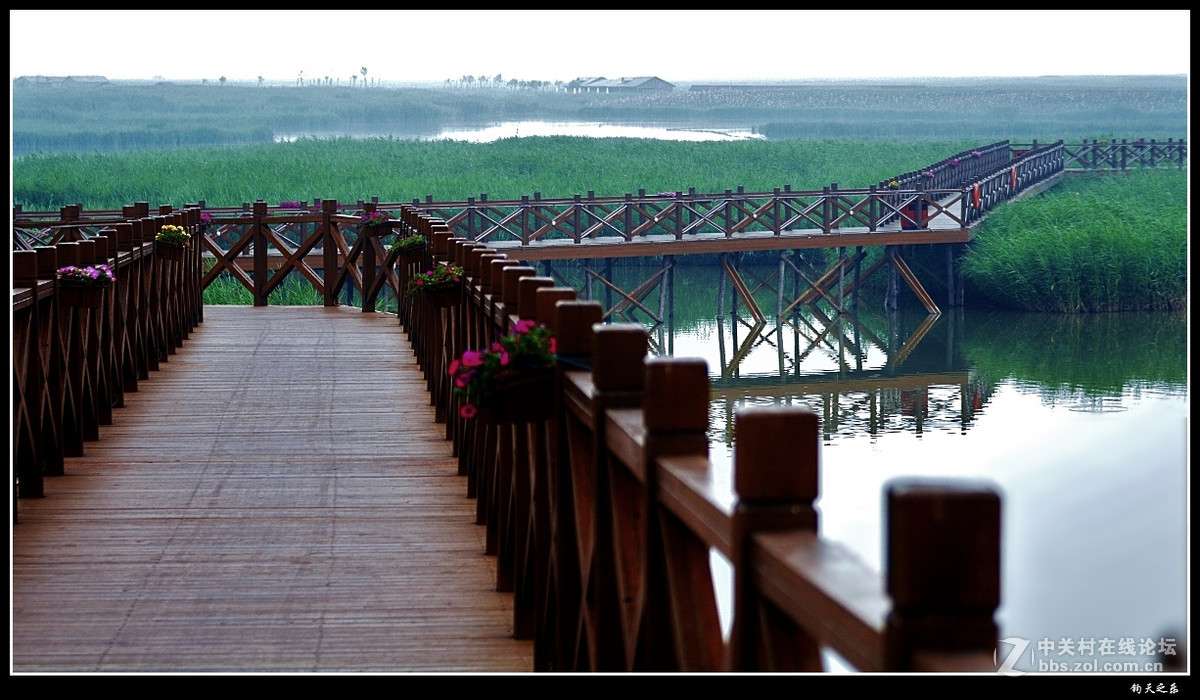 【阴雨天的诗情画意】
