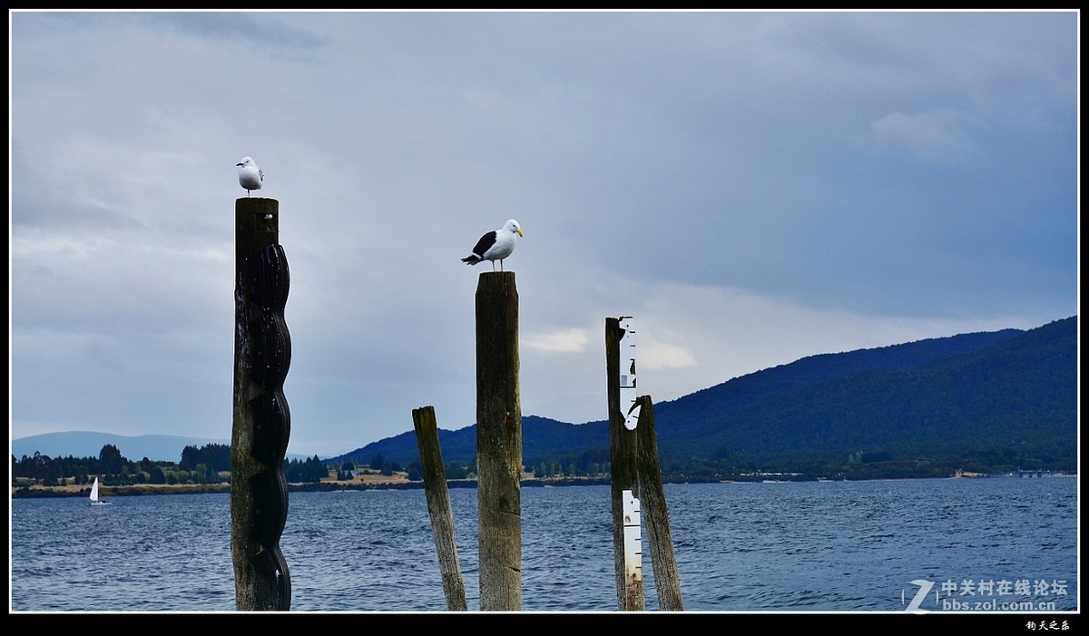 【阴雨天的诗情画意】
