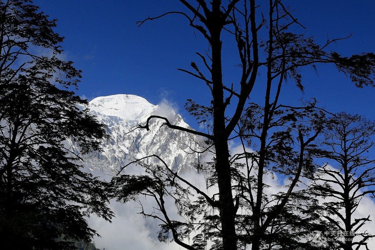 子梅垭口+燕子沟风光