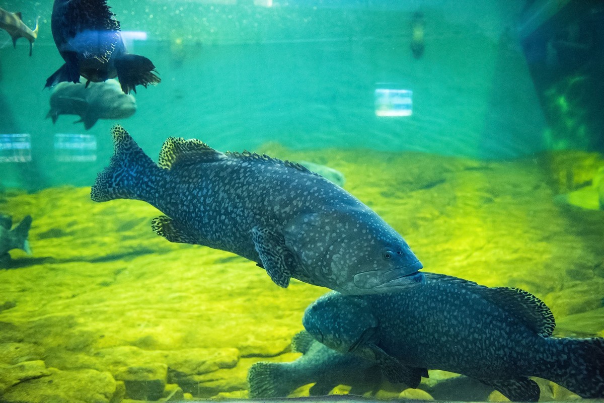 威海西霞口野生動物園遊拍