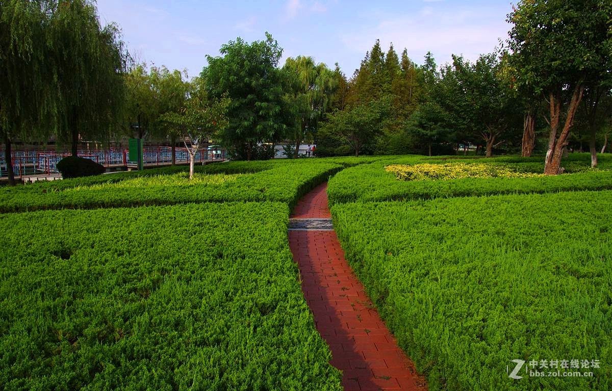 『曲与直』123...11P