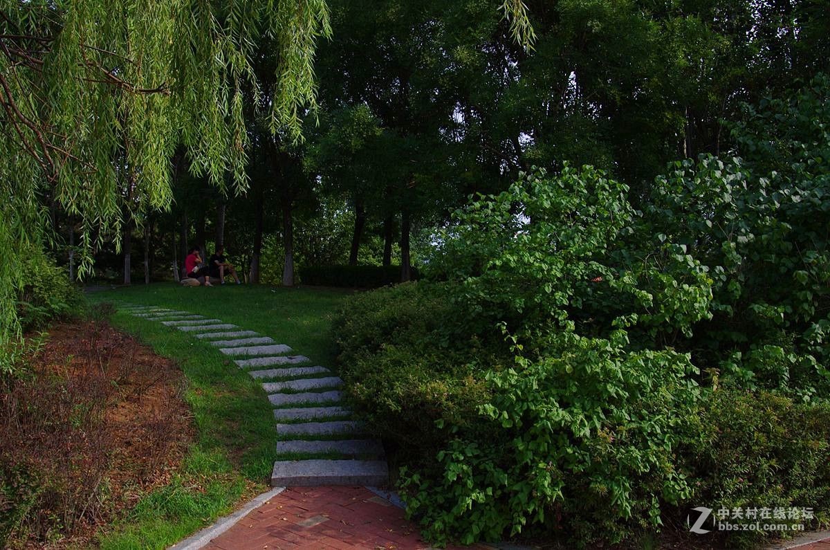 『曲与直』123...11P