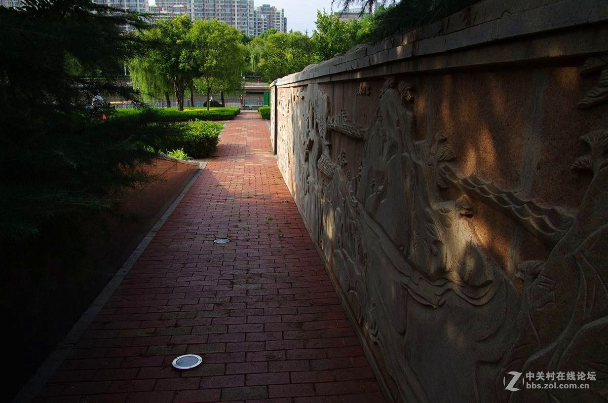 『曲与直』123...11P