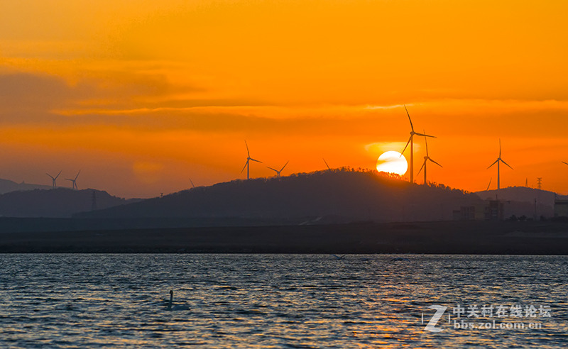 傍晚的荣成天鹅湖