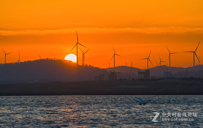傍晚的荣成天鹅湖