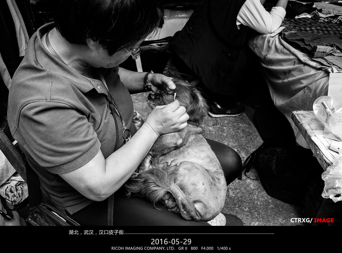 CTRXG---随拍系列【遇见】之 88