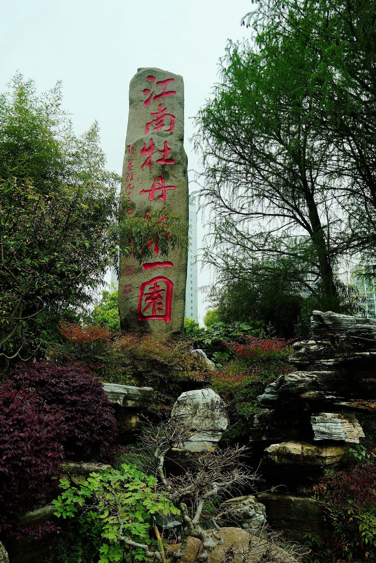 武汉印象----东湖牡丹园的牡丹花！。。。。。。。