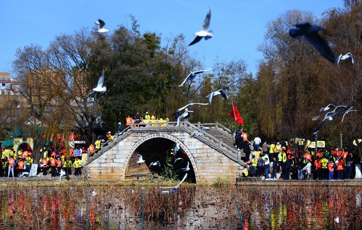 【爱跑538昆明健康跑】