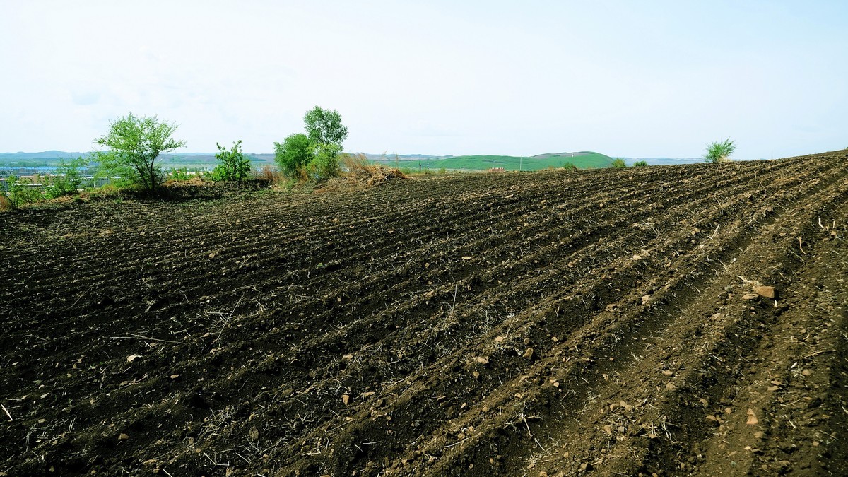 家乡那片【黑土地】{3}