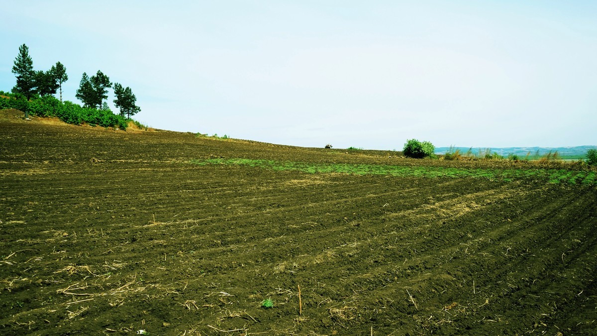 家乡那片【黑土地】{3}