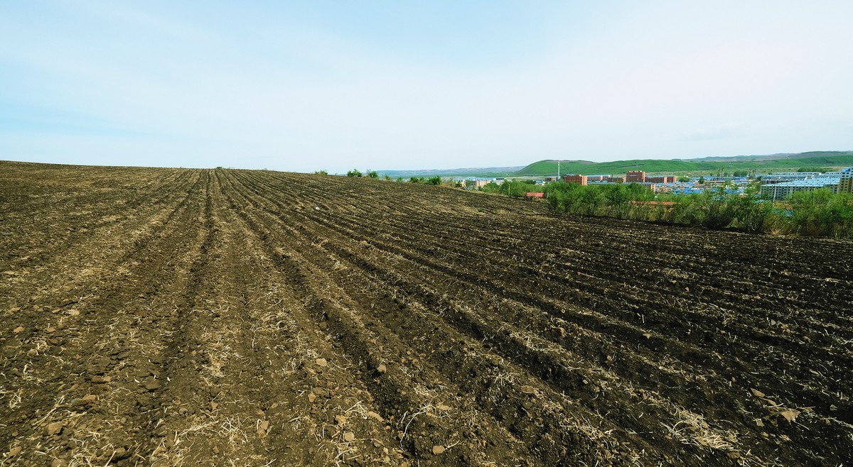 家乡那片【黑土地】{3}