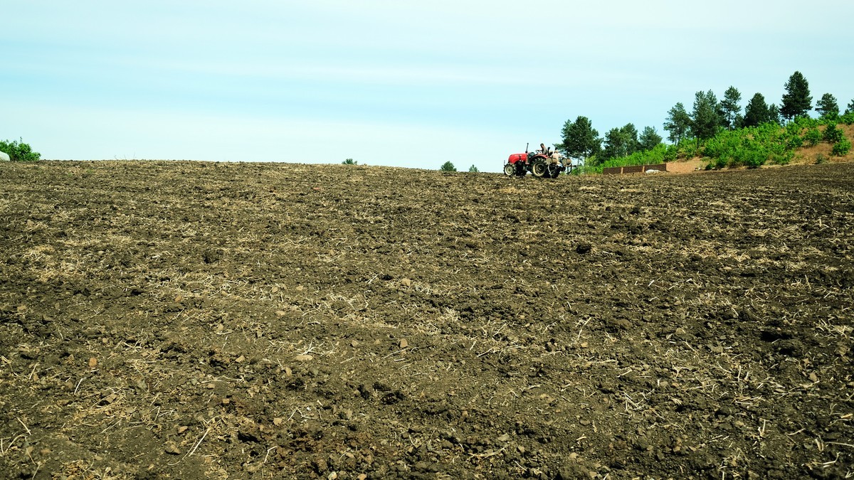 家乡那片【黑土地】{3}