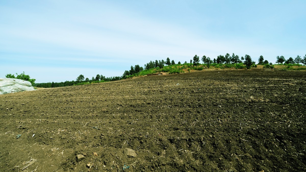 家乡那片【黑土地】{3}