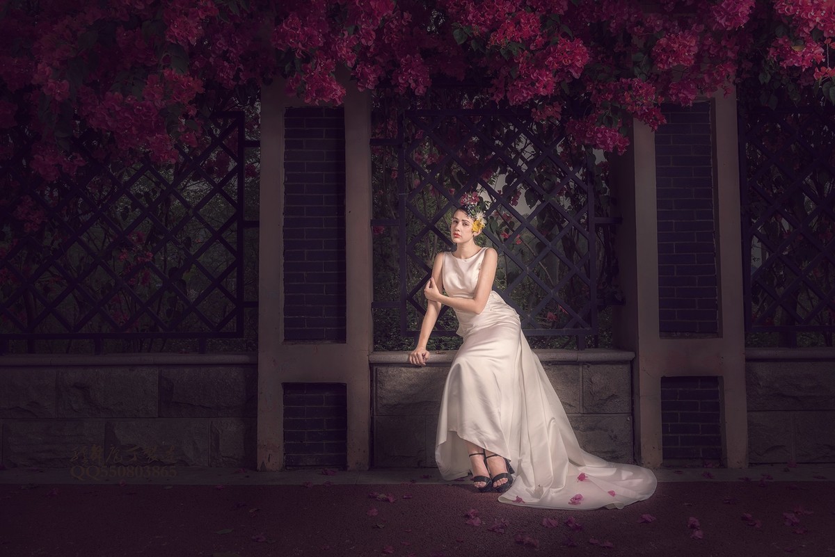 待到春来三月三， 满城尽飞紫亚兰。