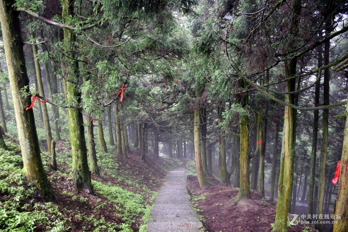 梦幻南天门----衡山