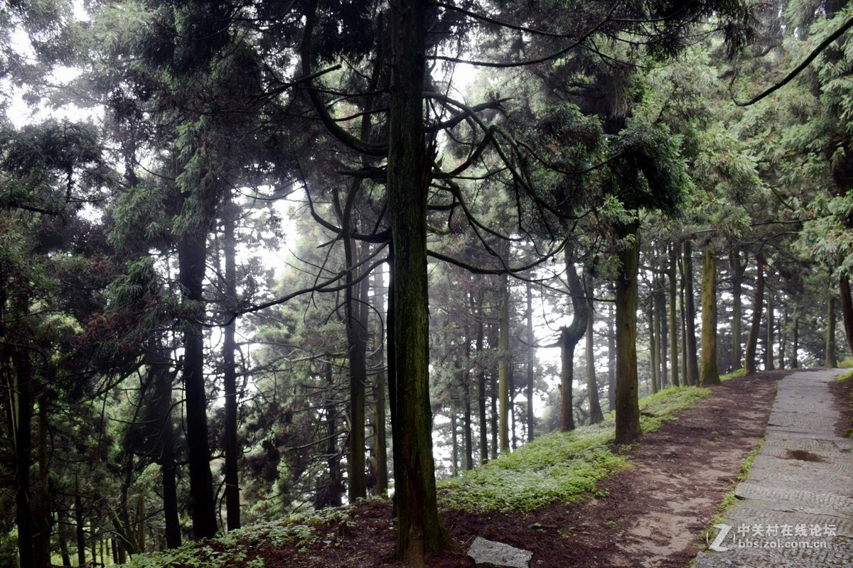 梦幻南天门----衡山