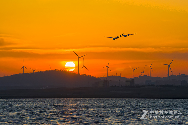 傍晚的荣成天鹅湖