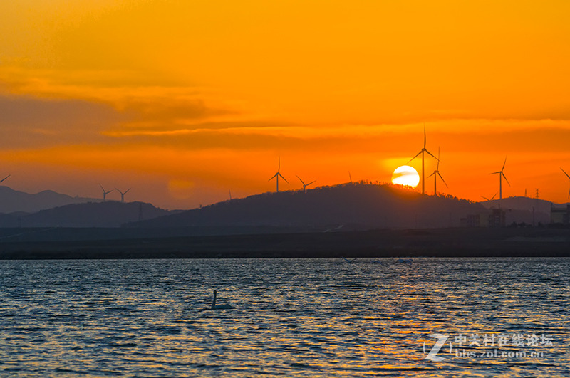 傍晚的荣成天鹅湖