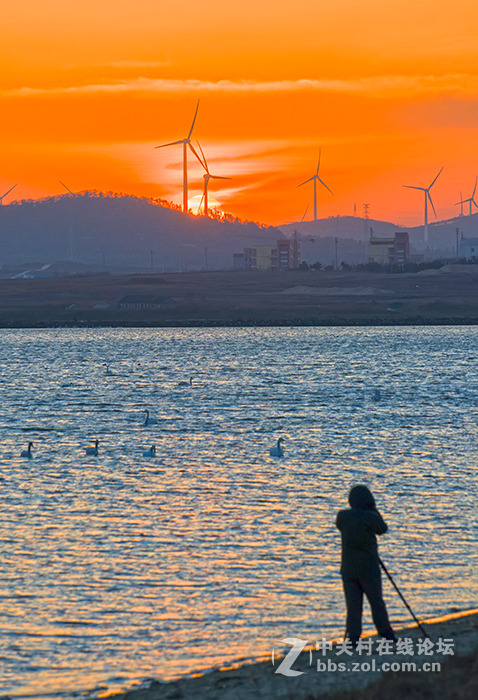 傍晚的荣成天鹅湖