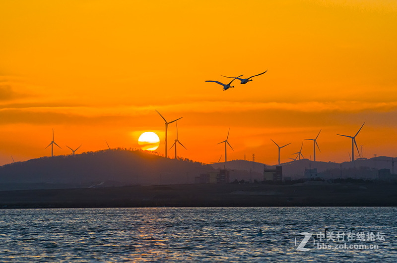 傍晚的荣成天鹅湖
