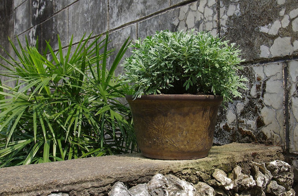 『中山故居公园』123...13P