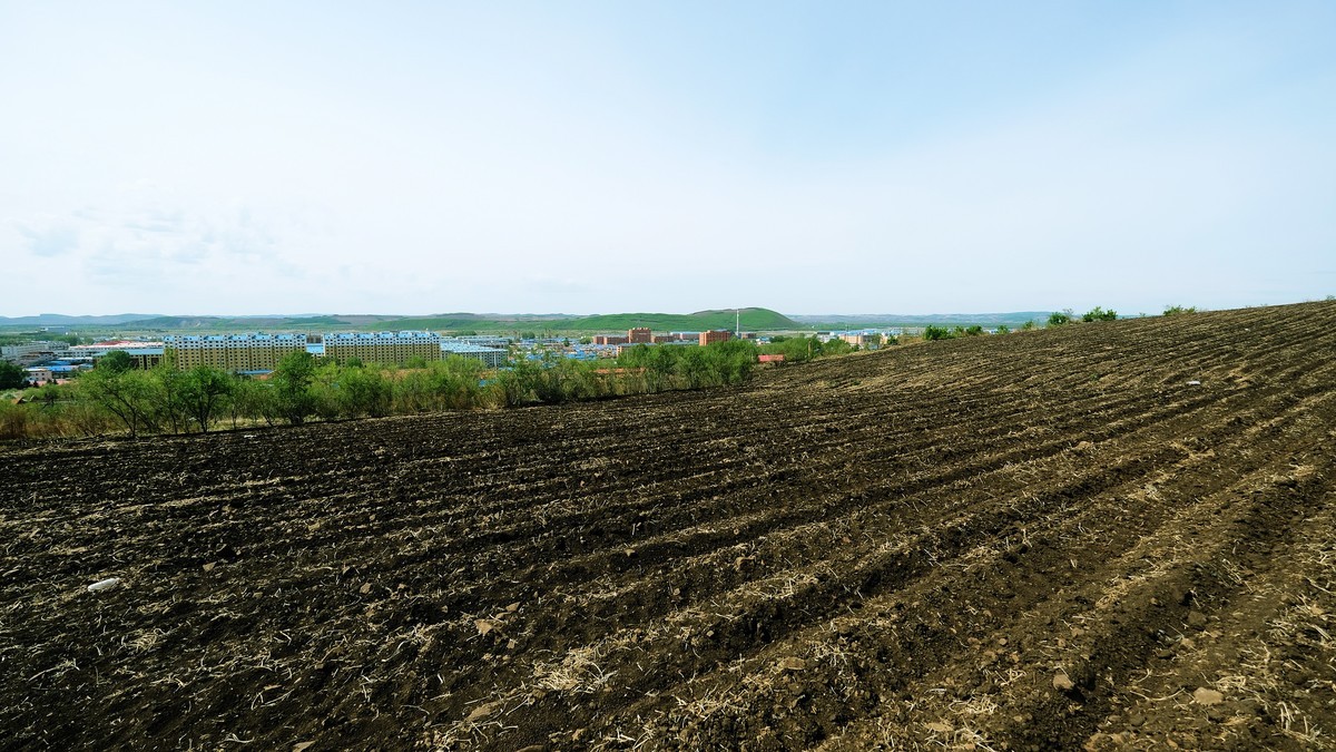 家乡那片【黑土地】{3}