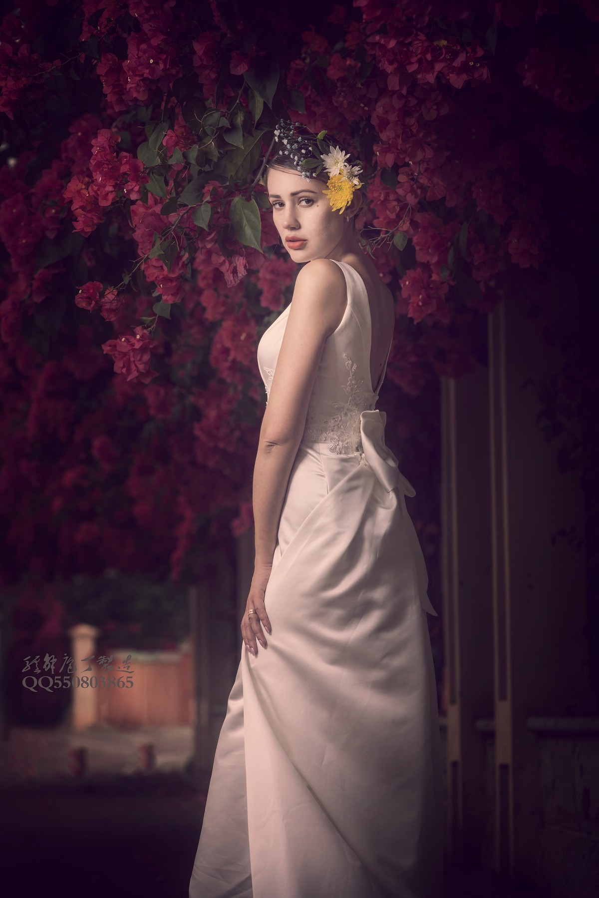 待到春来三月三， 满城尽飞紫亚兰。