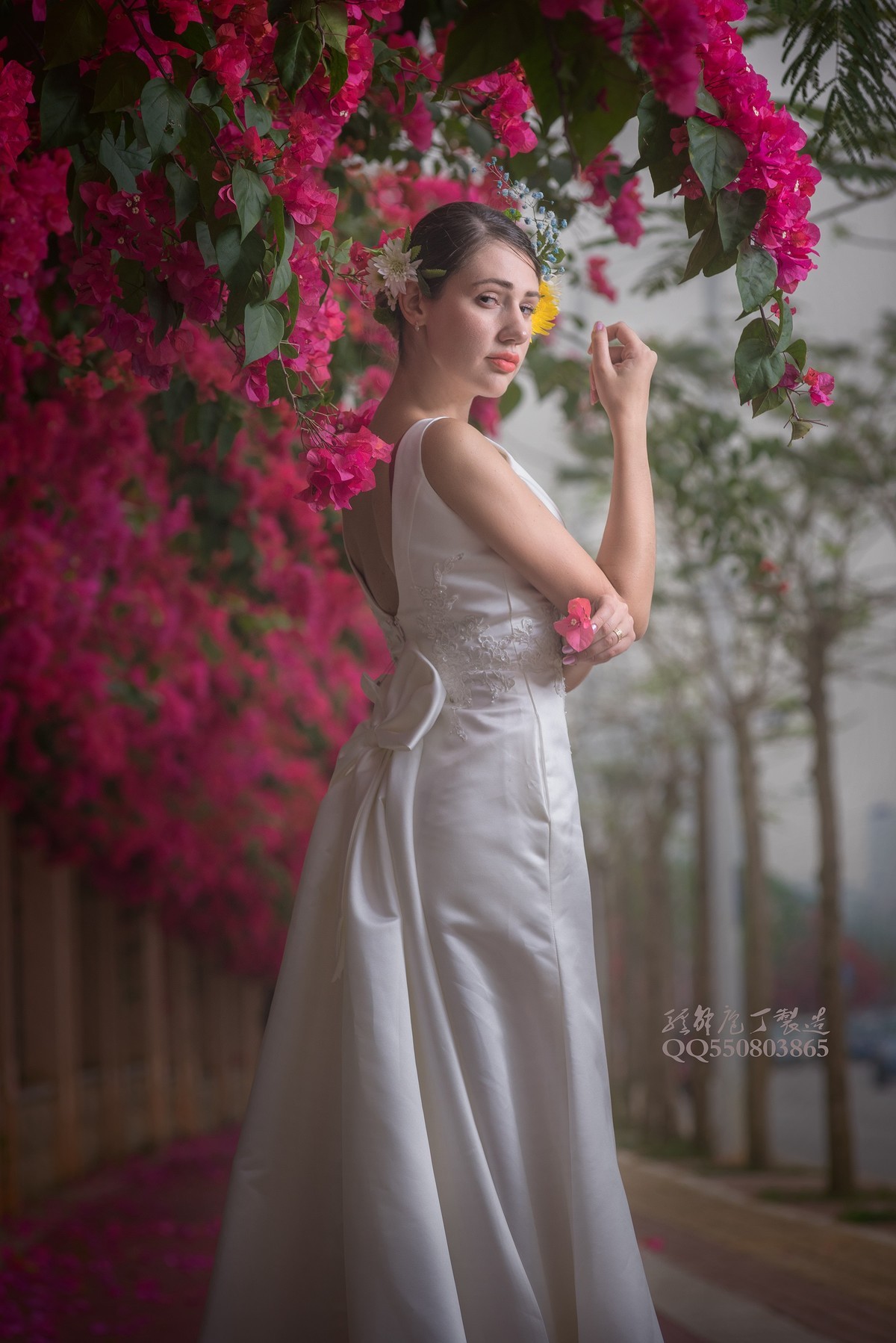 待到春来三月三， 满城尽飞紫亚兰。