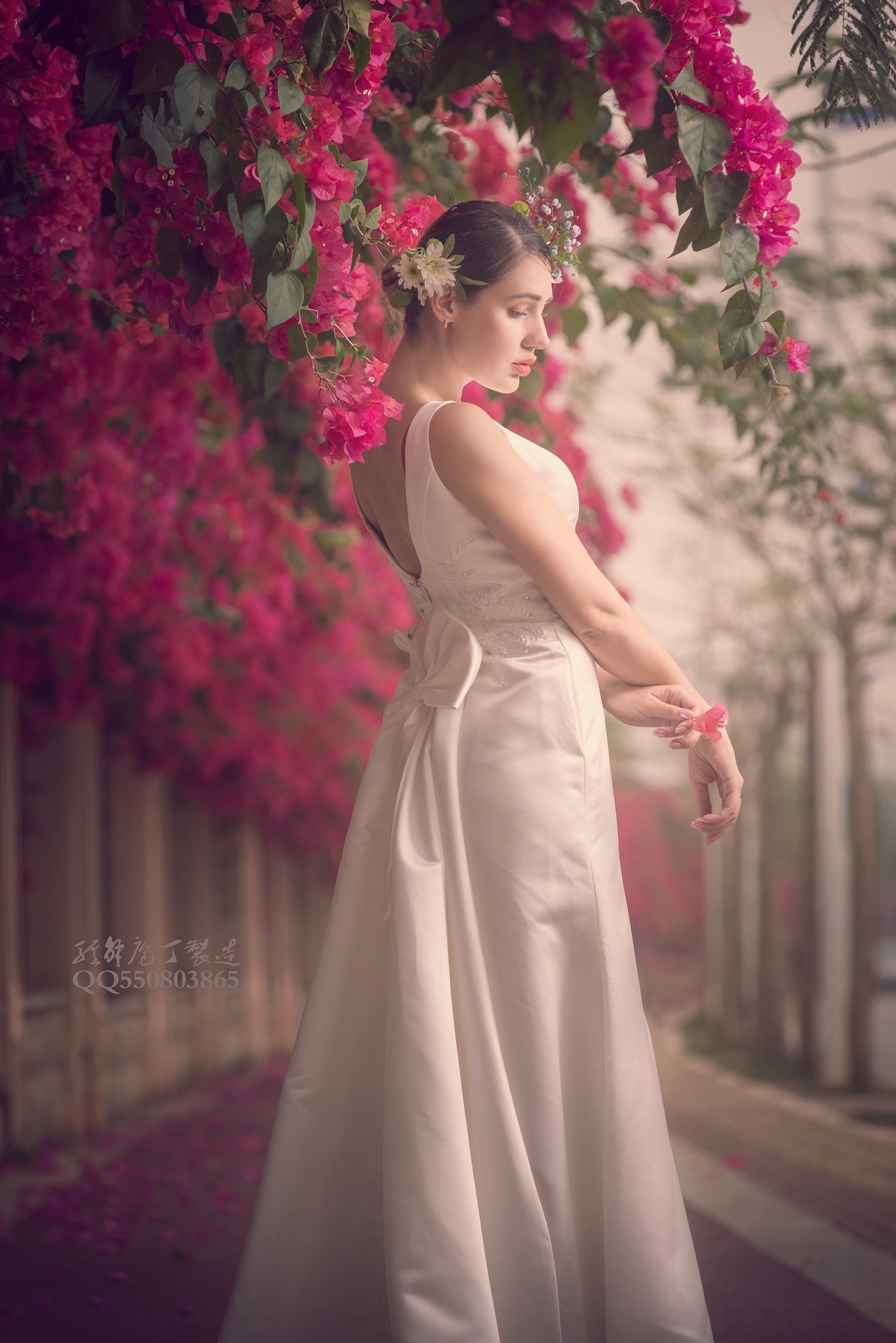 待到春来三月三， 满城尽飞紫亚兰。