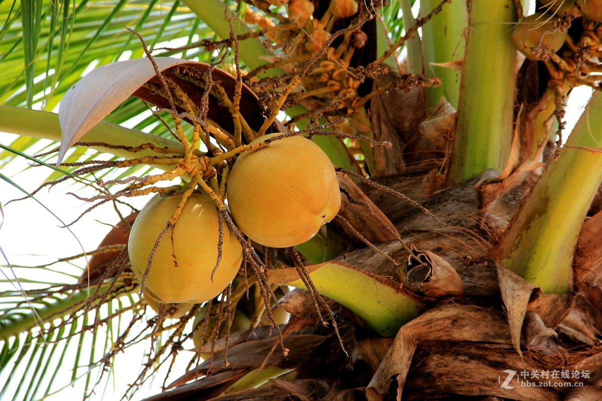 海边行，纯属纪念帖。