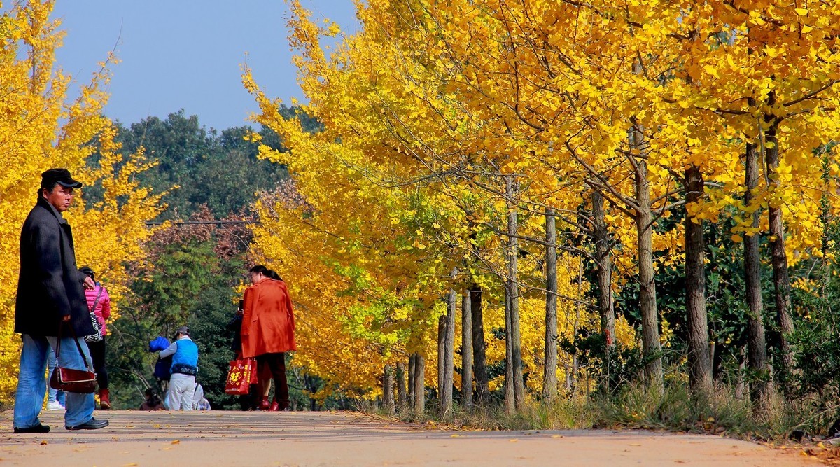 #佳能月赛-冬日精彩#_南方冬日里的暖色。