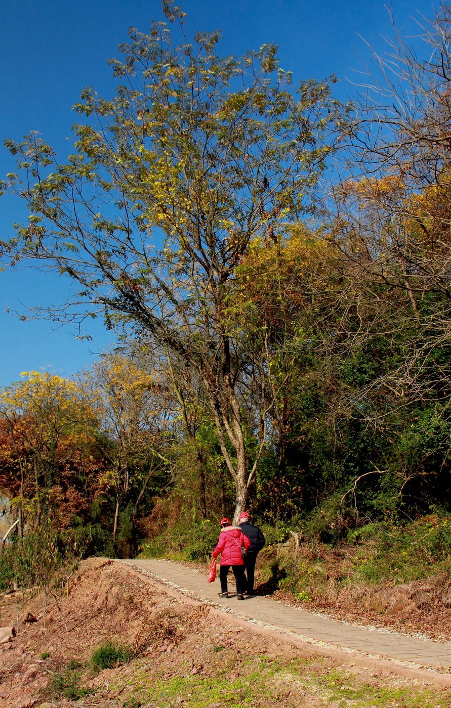 #佳能月赛-冬日精彩#_南方冬日里的暖色。